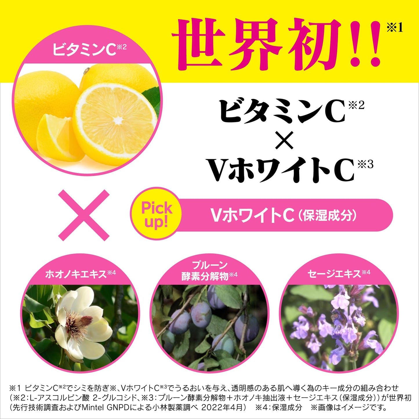 ケシミン浸透化粧水とてもしっとり　１６０ｍＬ 容量160ML 小林製薬 化粧水・ローション