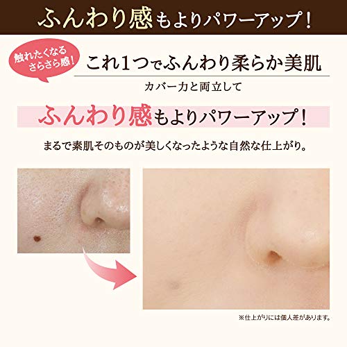 サナ　毛穴パテ職人　ミネラルＢＢパウダー　ＮＭ 容量1個 常盤薬品 メイク
