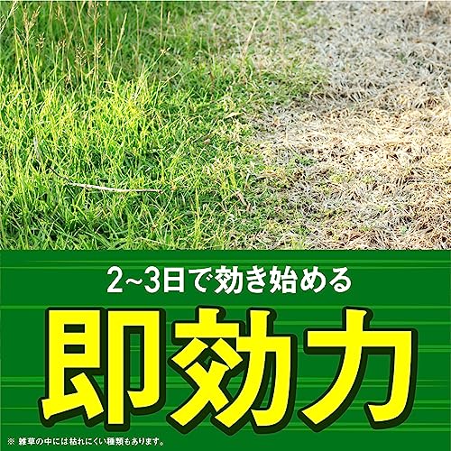 アースカマイラズ　草消滅 容量4500L アース製薬 園芸用品・除草剤