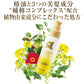 大島椿　ヘアエッセンス 容量100ML 大島椿 美容液