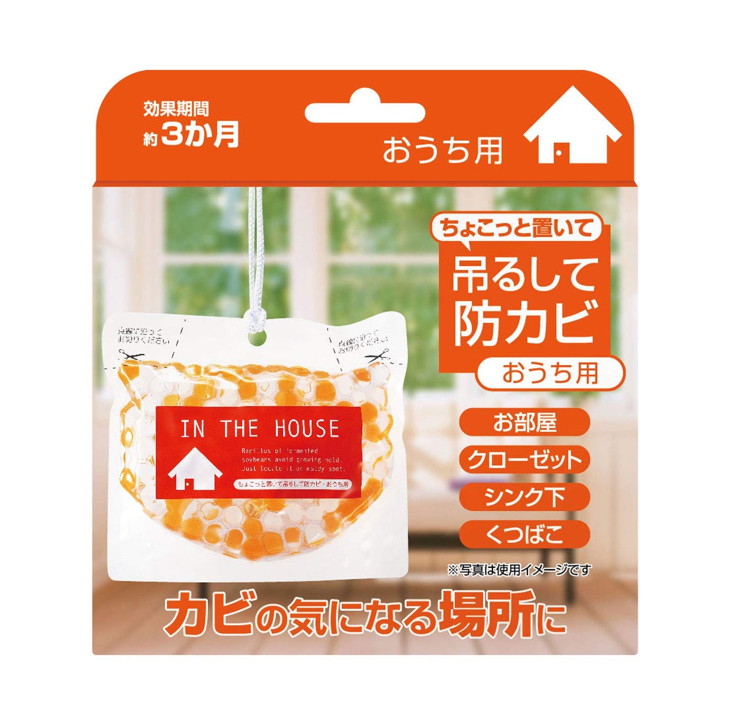 ちょこっと置いて吊るして防カビ　おうち用 容量160G 高森コーキ 芳香剤・部屋用