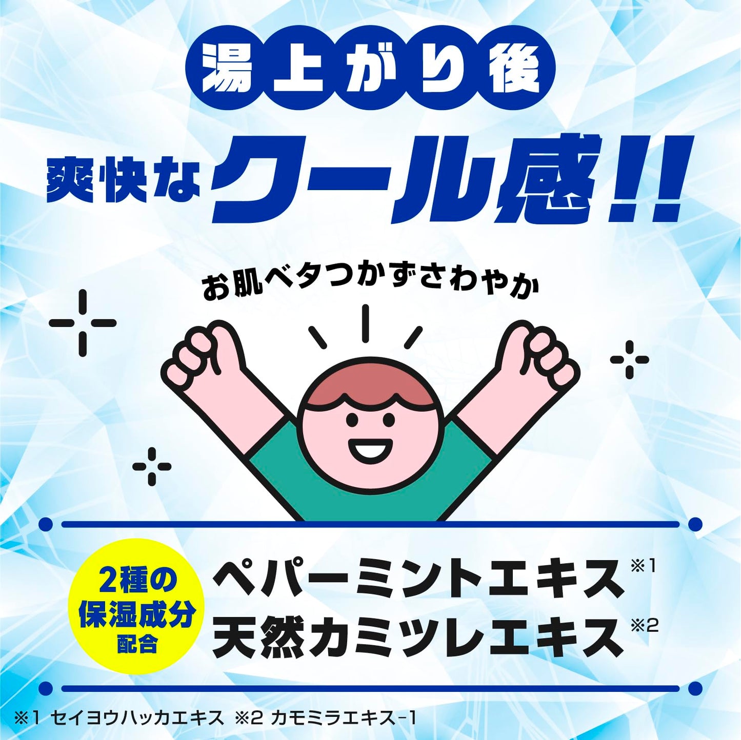 バスロマン スーパークールタイプ 容量600G アース製薬 入浴剤