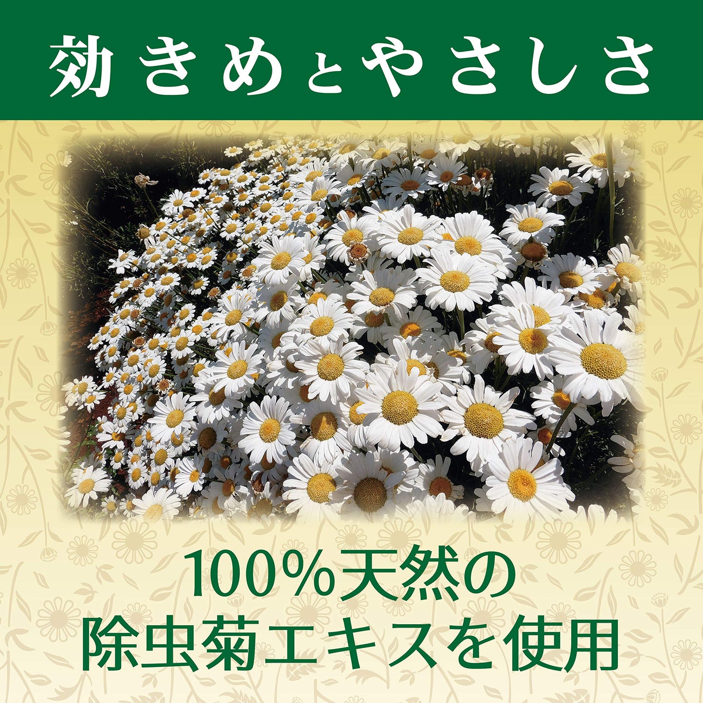 天然除虫菊水性キンチョール 300mL 容量300ML 大日本除虫菊（金鳥） 殺虫剤・ハエ・蚊