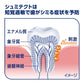 【まとめ買い】薬用シュミテクト　歯周病ケア〈１４５０ｐｐｍ〉　２２ｇ 容量22G×10点セット グラクソスミスクライン 歯磨き