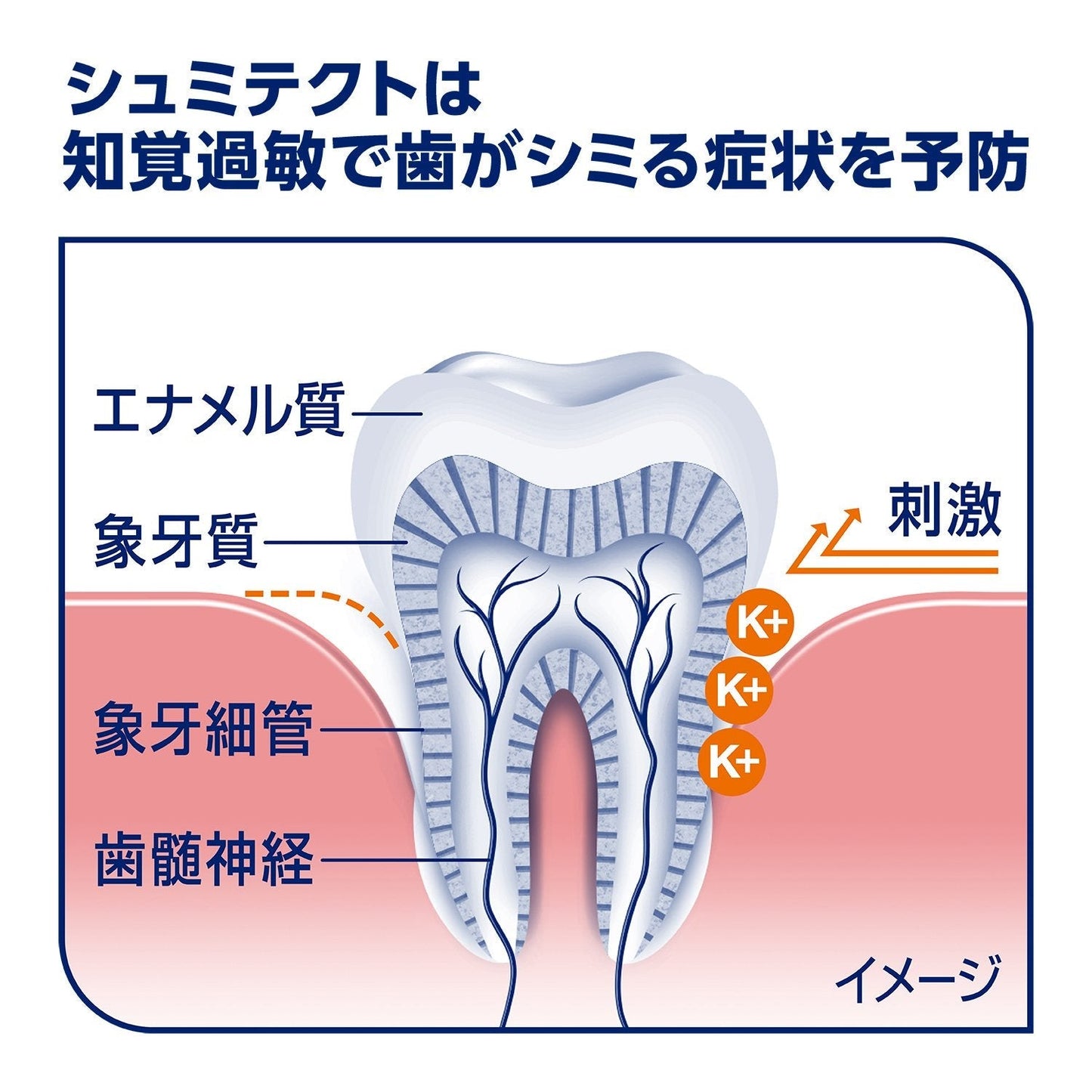 【まとめ買い】薬用シュミテクト　歯周病ケア〈１４５０ｐｐｍ〉　２２ｇ 容量22G×10点セット グラクソスミスクライン 歯磨き