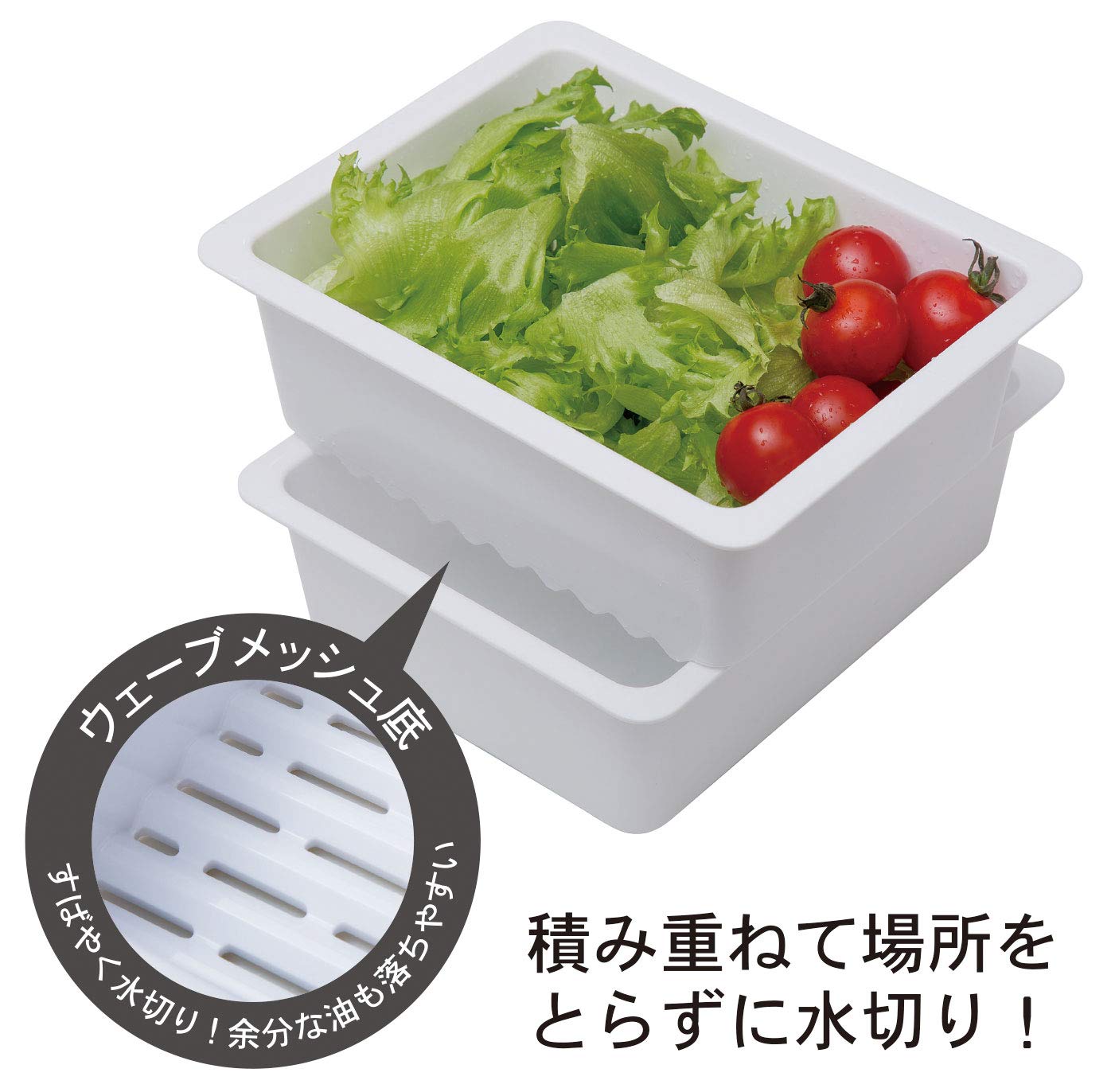 【まとめ買い】HAUS（ハウス）クックコンテナ 容量1個×6点セット 小久保工業所 台所用品