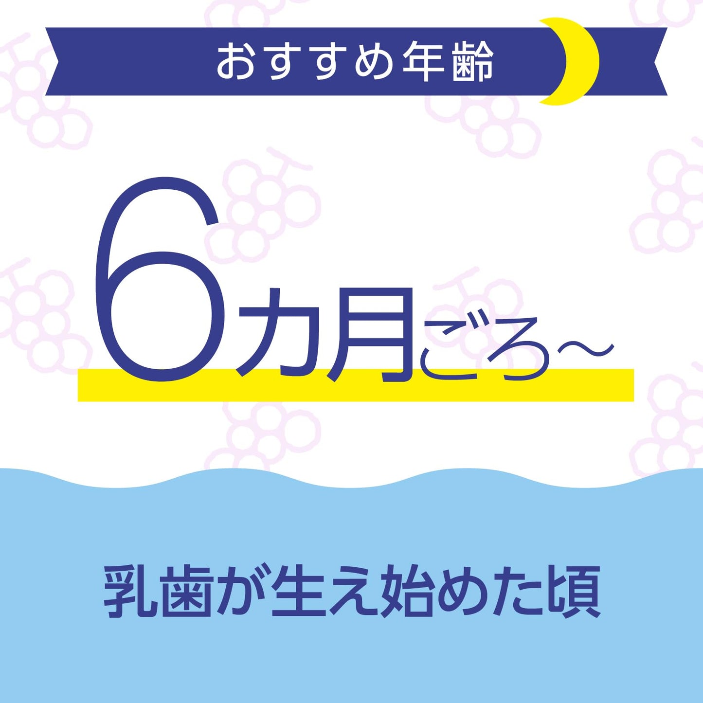 【まとめ買い】モンダミンKid’s フッ素仕上げジェルセット ぶどう味 容量1個×24点セット アース製薬 歯磨き