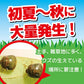 【まとめ買い】カメムシキンチョールH 300ML 容量300ML×20点セット 大日本除虫菊（金鳥） 殺虫剤