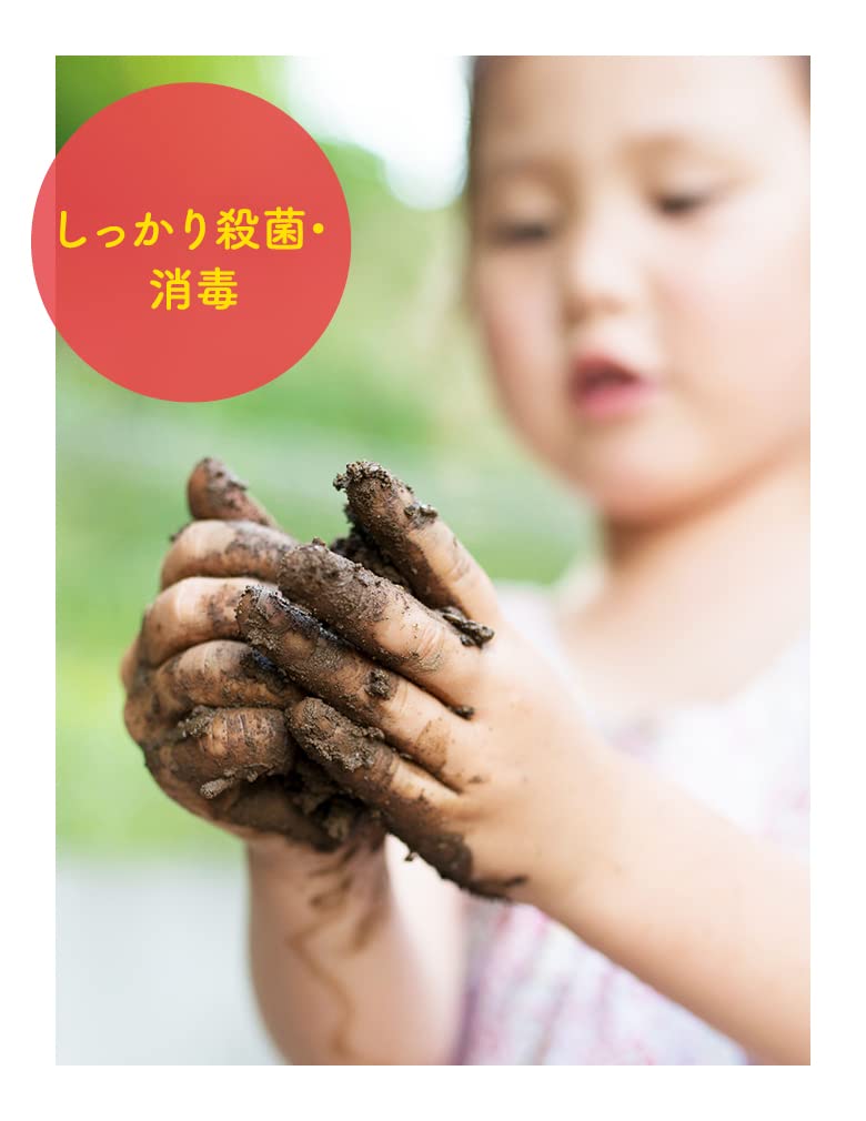 【まとめ買い】ノータッチ詰替フルーティフレッシュ 容量250ML×12点セット レキッドベンキーザー ハンドソープ