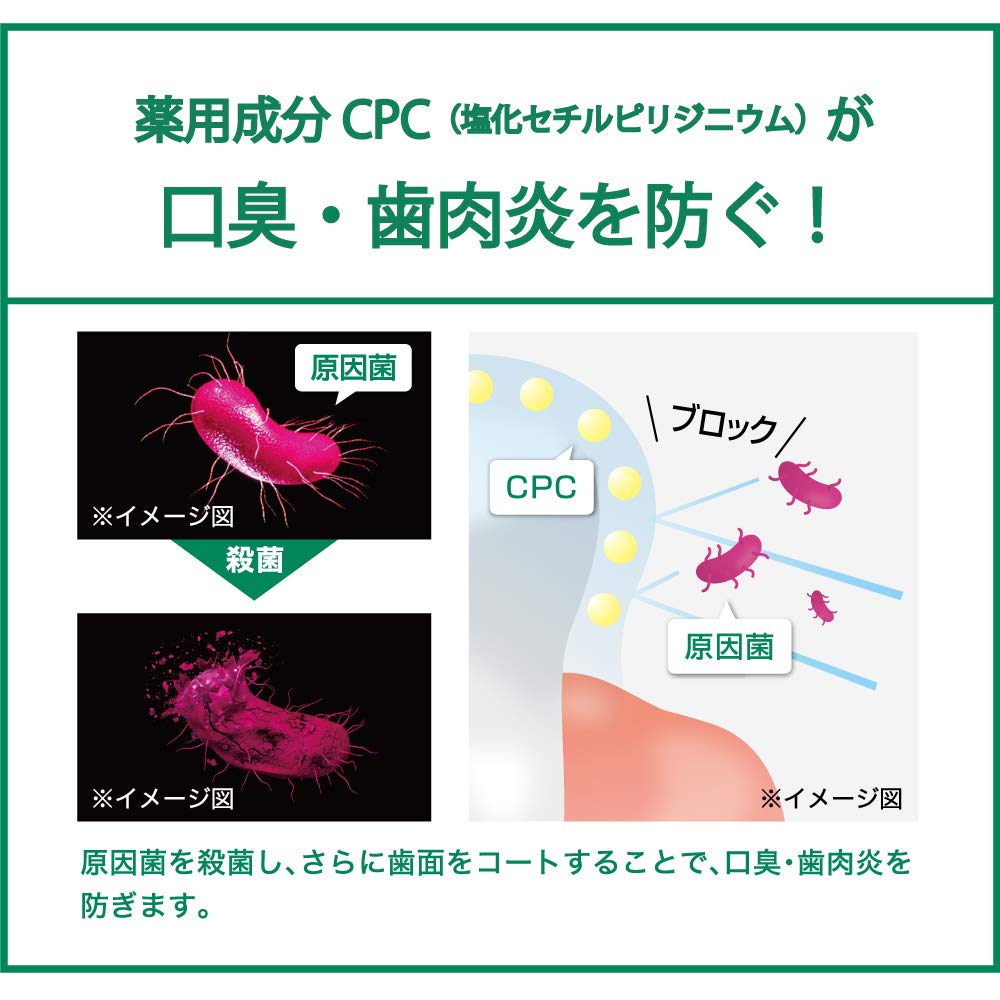 【まとめ買い】ガム歯周プロケアペースト 容量90G×10点セット サンスター 歯磨き