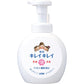 【まとめ買い】キレイキレイ薬用泡ハンドソープ　本体大型サイズ　シトラスフルーティの香り 容量500ML×12点セット ハンドソープ