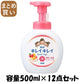 【まとめ買い】キレイキレイ薬用泡ハンドソープ　本体大型サイズ　フルーツミックスの香り 容量500ML×12点セット ハンドソープ