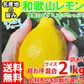 レモン 訳あり 2kg 和歌山県産