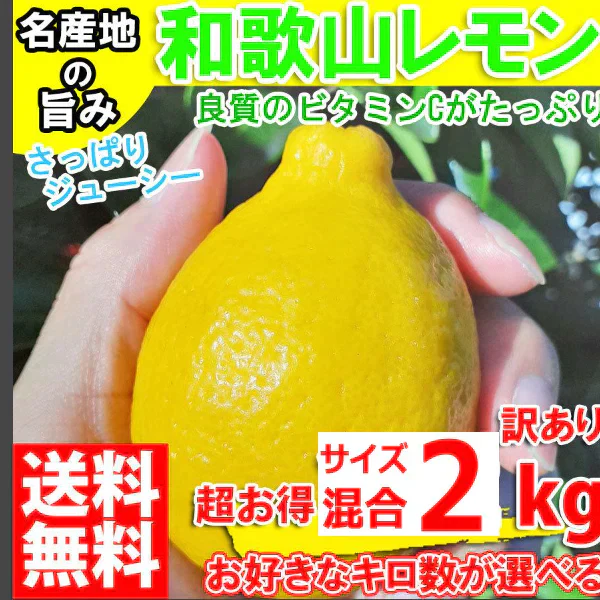 レモン 訳あり 2kg 和歌山県産