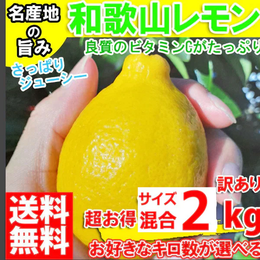 レモン 訳あり 2kg 和歌山県産