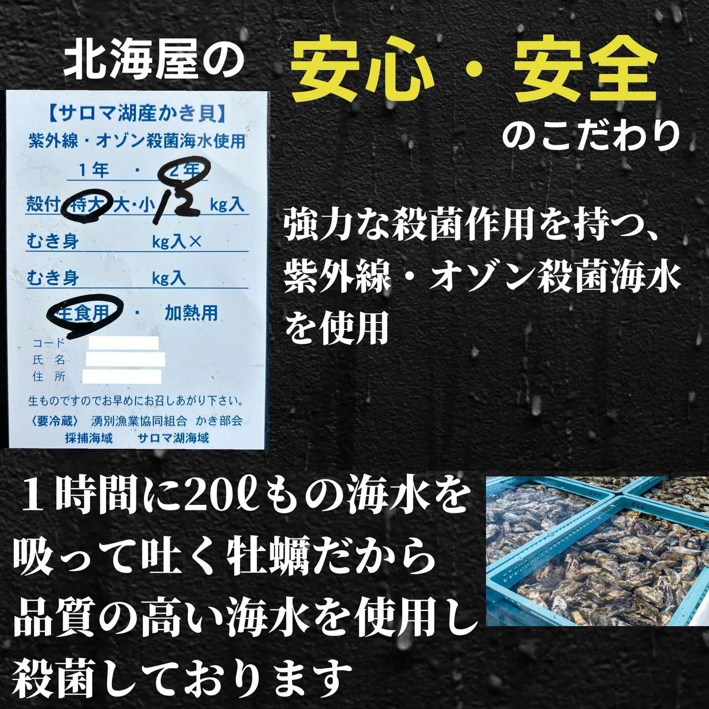 牡蠣 むき身 冷凍 剥き身 北海道 サロマ湖産 1Kg カキ サロマ湖産 産地直送 大粒 牡蠣 グラタン牡蠣 北海道 プリプリ 牡蠣 ギフト かき 牡蠣  紋別 冬グルメ 牡蠣  むき身 生食 むき身