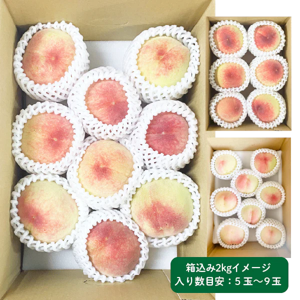 桃 訳あり 箱込み2kg 5〜9玉 和歌山県産旬の桃 ご家庭用 御中元 白鳳 川中島 清水 白桃 白鳳系 白桃系 家庭用