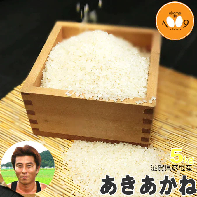 新米 滋賀県彦根産 あきあかね 白米 5kg 西村悟 令和6年産  環境こだわり農産物