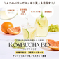 酵素ドリンク コンブチャBIO グレープフルーツ味 150g(約30回分) 在庫限り