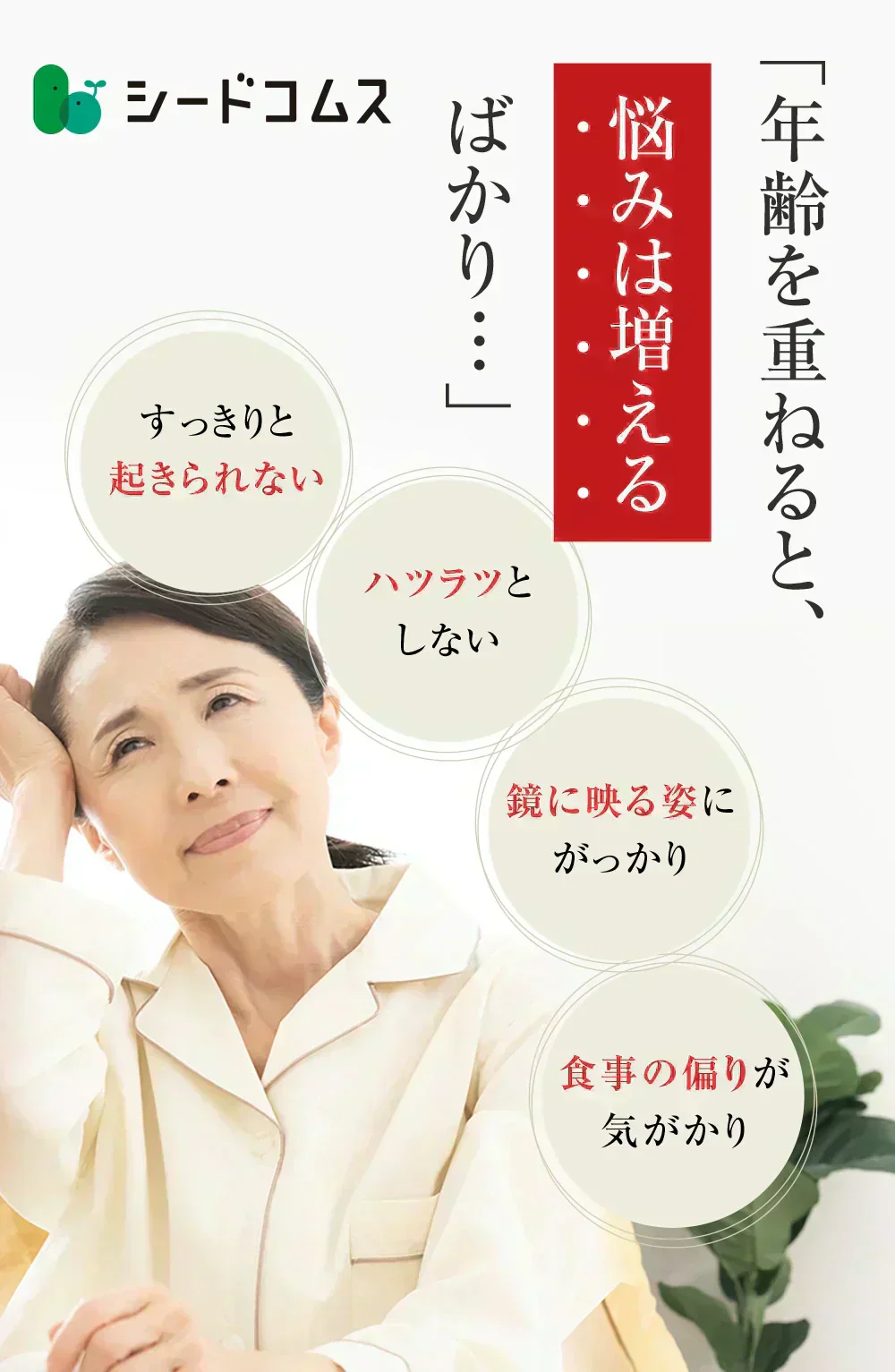 あじわい酵素　シークヮーサー味（31包入り）美容サプリ 国産野菜・果物キノコのみを使用！美容と健康にうれしい成分をプラス！乳酸菌、ビタミンC、ペースト状 ダイエット サプリ ゼリー