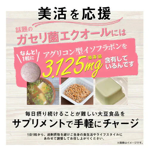ガセリ菌エクオール まとめ買い 2個セットガセリ菌 善玉菌 乳酸菌 腸活 菌活 エクオール サプリメント 大豆イソフラボン サプリメント 大容量 お徳用 健康 美容 RoyalBS 日本製