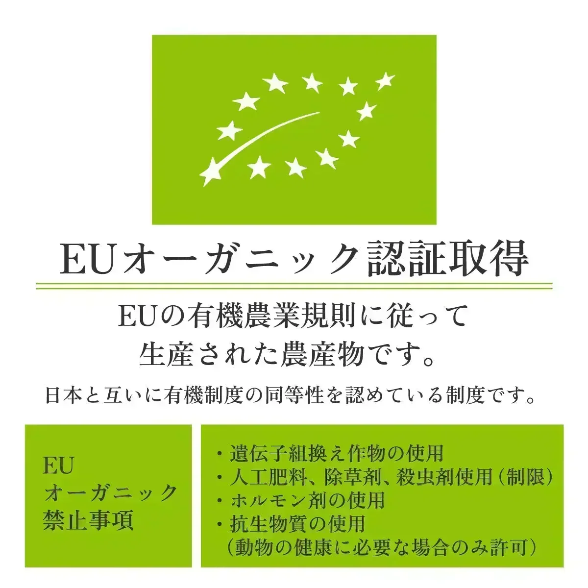 【ご注文殺到につき入荷待ち】 アムラパウダー 無添加 食用 オーガニック 100g 有機 JAS認証 粉末 アムラ 100% パウダー グーズベリー スリランカ ヘアケア 美髪 薄毛 美肌 栄養 健康 サプリメント