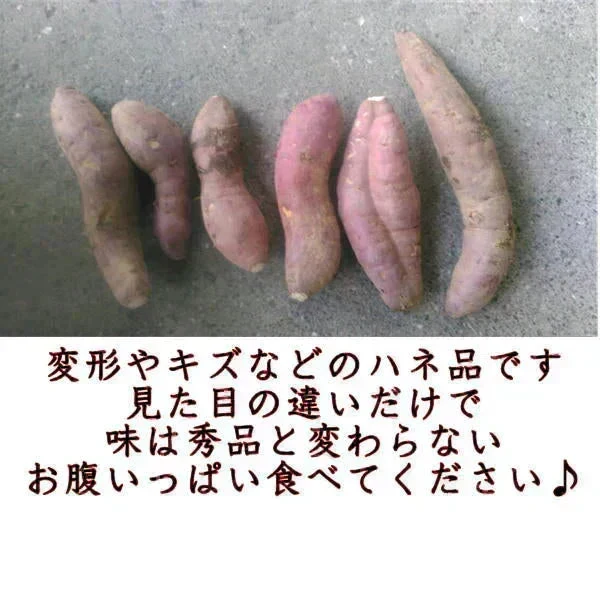 【11月中旬頃より順次出荷予定】訳あり 紅はるか 1.5キロ 蔵出し サイズおまかせ さつまいも 蜜芋 熊本産 送料無料　60サイズ