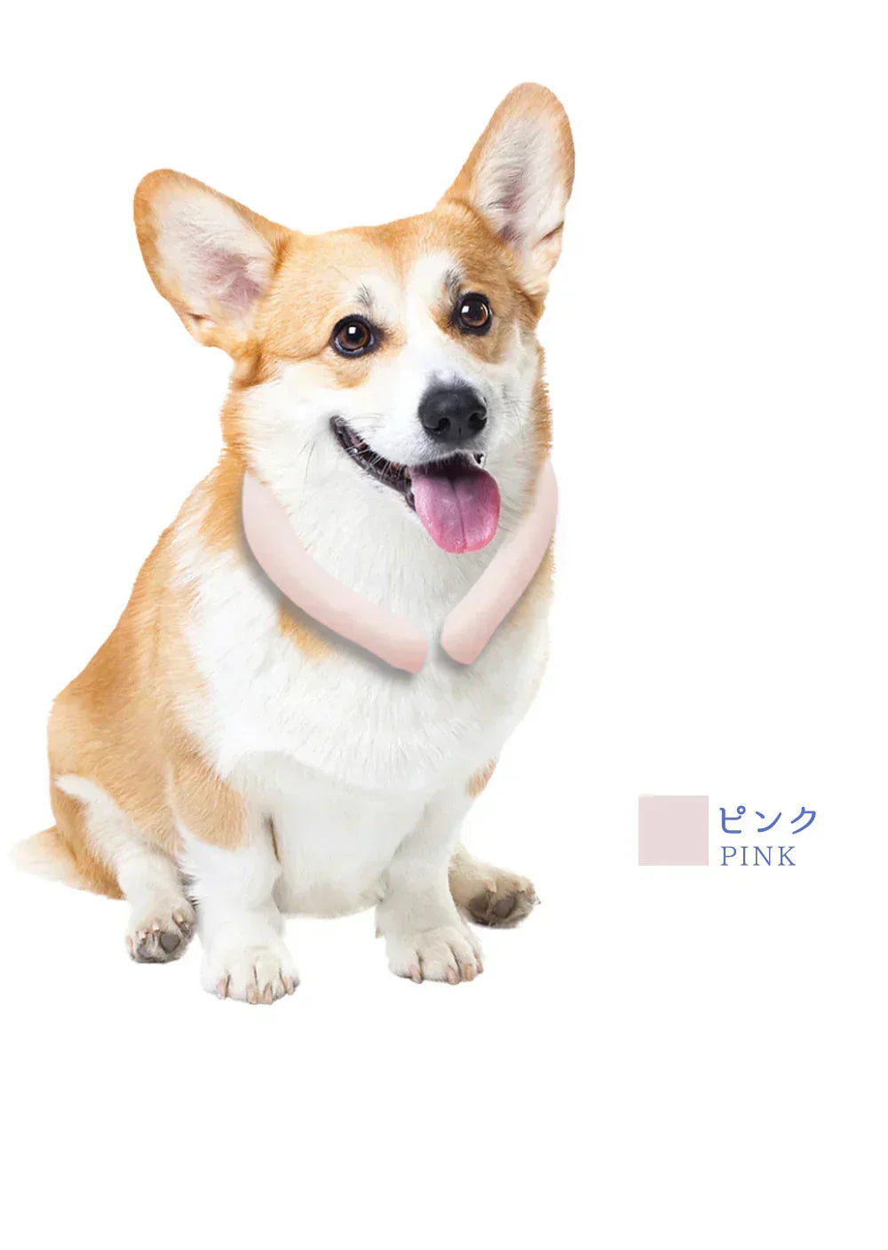 【超軽量デザイン！】＼1本 Sサイズ 色がランダム出荷／犬用 アイスクールリング ネッククーラー クールリング ひんやりリング ひんやりグッズ クールネック ひんやりリング 冷やす 首掛け 犬 冷感リング 冷感グッズ ペット用 お散歩