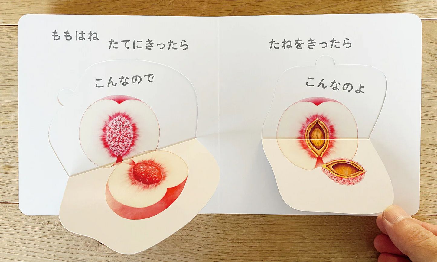 コクヨ KOKUYO くだもの音頭 KE-WC82