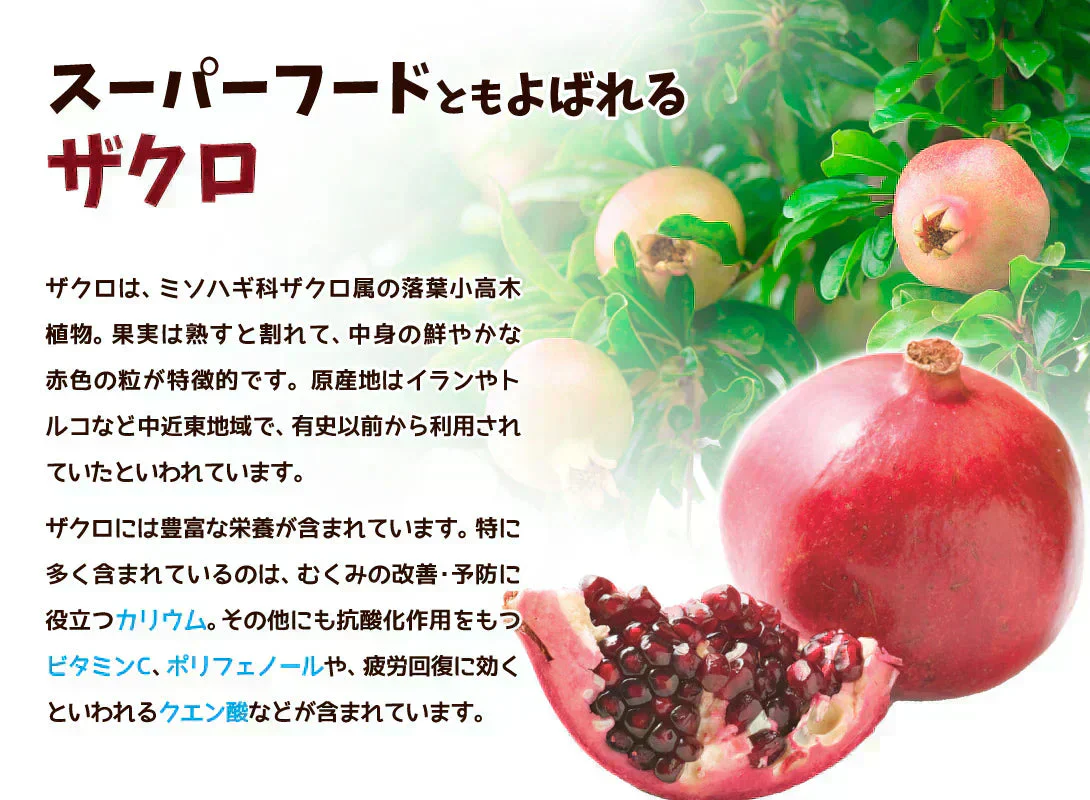 インド産 ザクロパウダー 100g×1袋