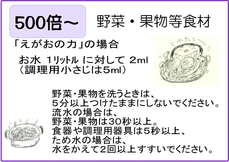 「Eco-Branch110 エコ・ブランチ110　2Ｌ 詰替タイプ」エコブランチ　食品並みの安全性で手肌にやさしいミラクル洗剤！