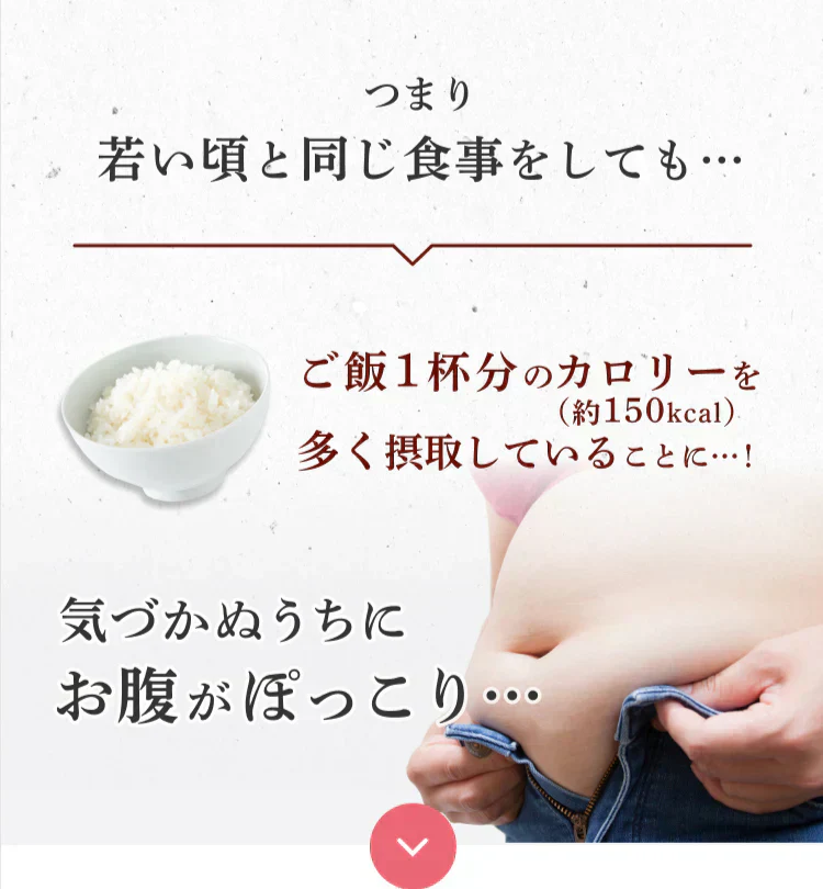 体脂肪が気になる方のプーアール茶　ヘルシーボ　30個入（ 4ｇティーバッグ ×30個入 約60～90杯分 機能性表示食品 健康茶 お茶 ローズヒップエキス ）