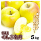 りんご 5kg  ぐんま名月 青森産【2025年1月中旬より発送】