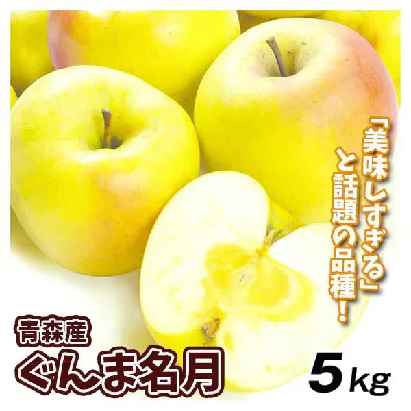 りんご 5kg  ぐんま名月 青森産【2025年1月中旬より発送】