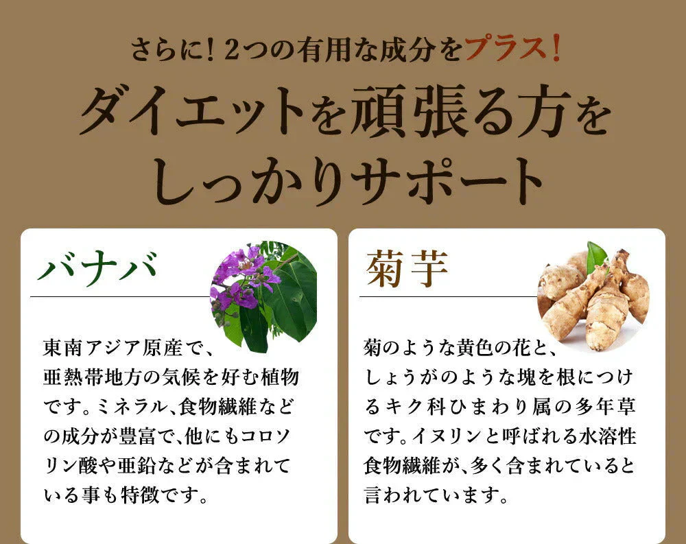 サラシア《約12ヶ月分》 送料無料 健康 サプリメント サプリ ダイエット サラシア  糖分 炭水化物【大容量】