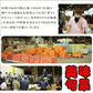 ＜秀品＞長野県産 シャインマスカット 1.2kg 秀品 2房 ~ 3房 種なし 長野県産 サイズおまかせ クール便 送料無料 | フルーツ ギフト 贈答用 家庭用 シャイン マスカット 贈り物 ギフト プレゼント 種なしぶどう 果物 くだもの 果実 青果 ブドウ 葡萄 おやつ デザート お歳暮