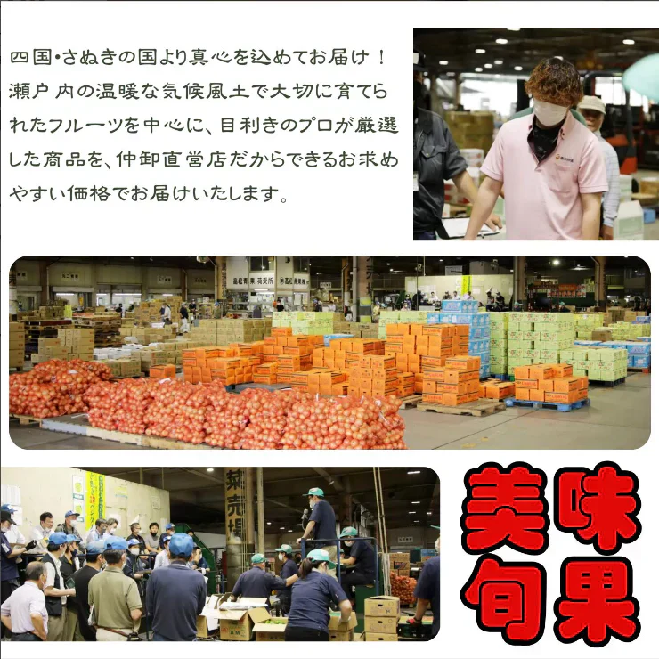 ＜秀品＞長野県産 シャインマスカット 1.2kg 秀品 2房 ~ 3房 種なし 長野県産 サイズおまかせ クール便 送料無料 | フルーツ ギフト 贈答用 家庭用 シャイン マスカット 贈り物 ギフト プレゼント 種なしぶどう 果物 くだもの 果実 青果 ブドウ 葡萄 おやつ デザート お歳暮