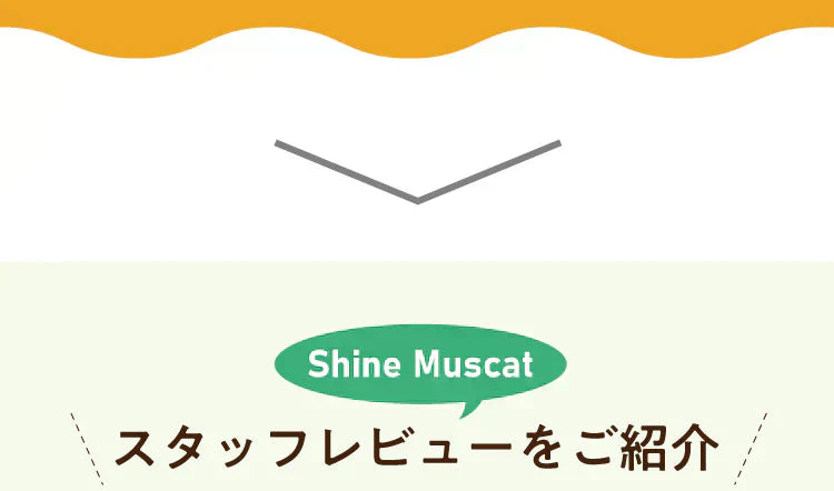 ＼再入荷！／★水出しOK★【季節限定】アレンジルイボスティー　シャインマスカット　カップ用３０個入（グリーンルイボスティー ティーバッグ ノンカフェイン ハーブティー）
