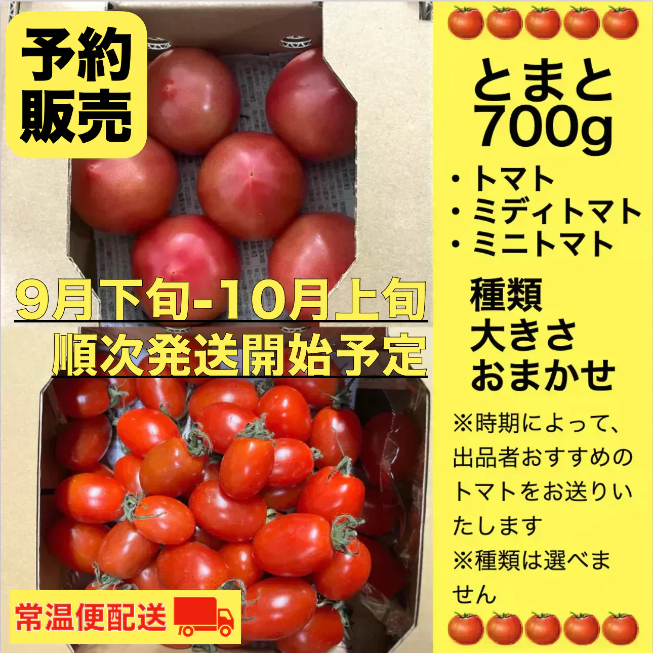 【予約販売商品／9月下旬頃から順次発送予定】トマト 🍅700g 常温便配送 (トマト・ミディトマト・ミニトマトなど種類は出品者おまかせ) 60サイズ【北海道・東北・沖縄配送不可】