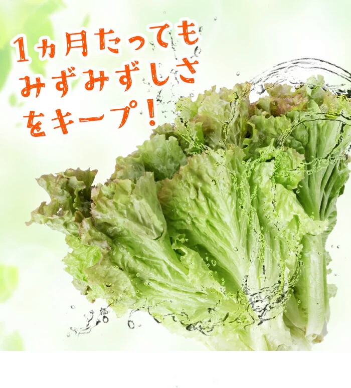 野菜長持ち BIOCERA 鮮度保持 鮮度長持ち 野菜保存 果物保存 繰り返し使える エコ 節約 食品ロスを減らす 冷蔵庫 野菜室