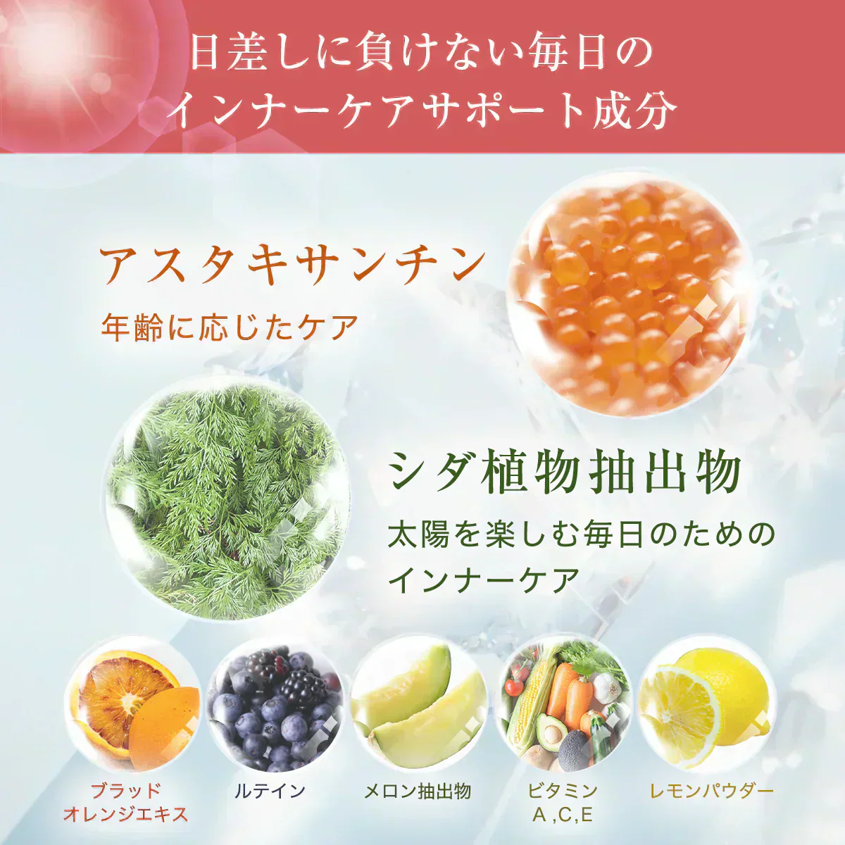 【SUNミレイナ プレミアムピュア】飲む日焼け止めサプリ・最大2ヶ月分 日焼け対策 太陽対策 お出かけ対策 サプリメント アスタキサンチン 飲む バリア サプリ 日焼止め UVケア UVカット 紫外線サプリ サンセット UVSUN MIREINA PREMIUM PURE 紫外線カット オールインワン 日焼どめ お肌 守る ビタミンC 国産 日本製 おすすめ 人気 効果 通販 シダ植物 バラ花びら パイナップル セラミド コラーゲン ヒアルロン酸 ブラッドオレンジ シスチン ナイアシン