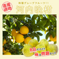 河内晩柑 Ｂ級品 (9kg) ※中玉・大玉MIX　訳あり  晩柑 ご家庭用 箱買い B品 サイズミックス 柑橘 みかん フルーツ 果物 産地直送 愛媛県産