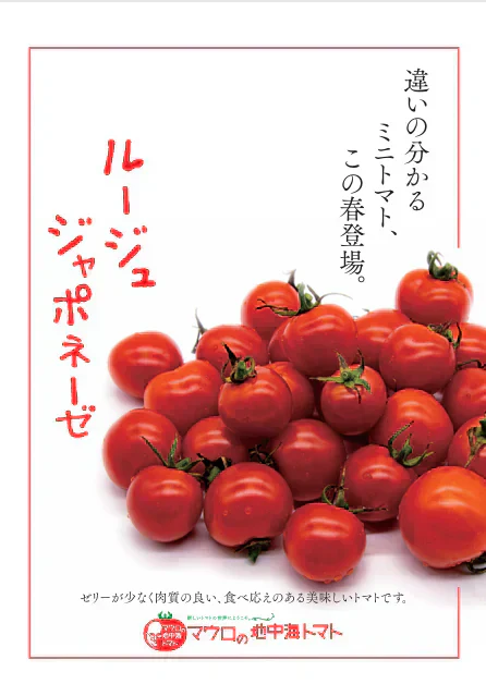 【ルージュ ジャポネーゼ！！　トマト　ミニトマト　プチトマト】　産地直送　700g　農家直送