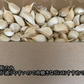 【わけあり品】青森県産ホワイト六片種にんにく バラ　小粒のみ 1kg(500g×2)【高糖度】