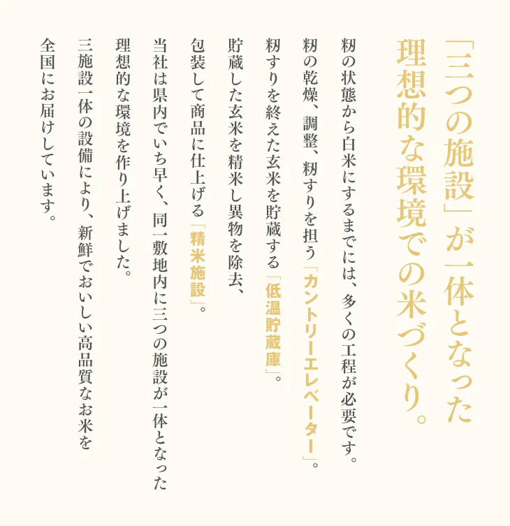 新米 令和5年産 山形県産 つや姫 精米 10kg(5kg×2) 送料無料※一部地域を除く rts1004