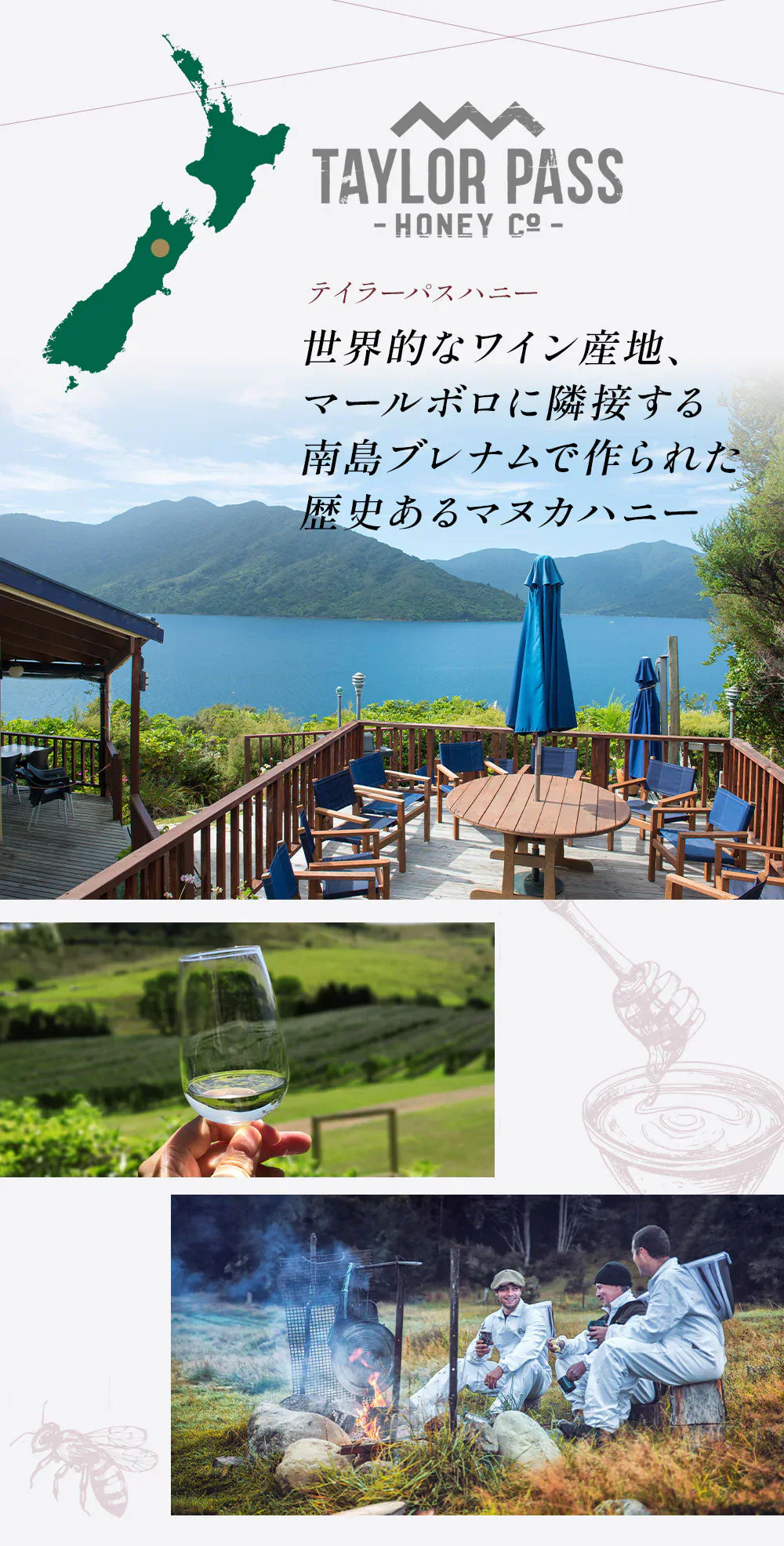 マヌカハニー UMF10+ [250g] MGO261～511 UMF協会認定【Taylor Pass ＆ マリリニュージーランド マヌカハニー】 生 はちみつ 非加熱 無添加 蜂蜜 モノフローラル 【送料無料】【最安値に挑戦】