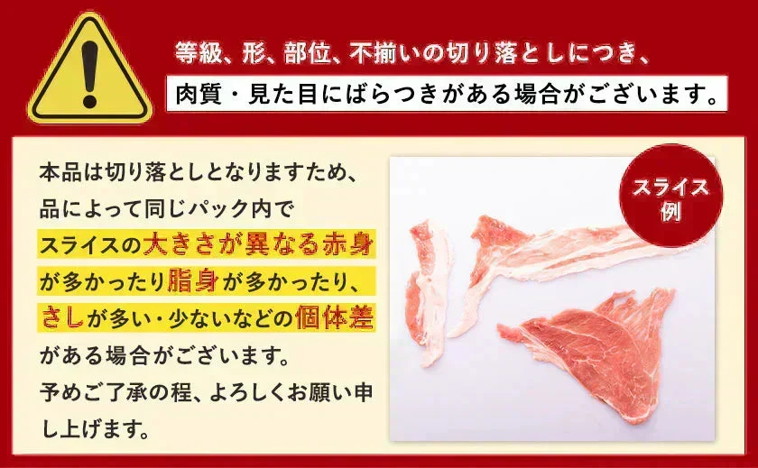 総重量1,520g! お肉5種 バラエティセット 肉 豚肉 鶏肉 ハンバーグ 5種 大容量 肉 福袋 切り落とし 豚ミンチ 国産 豚 ミンチ うまかチキン 若鶏 モモ肉 むね肉 デミグラス  《1-3営業日以内に発送予定（土日祝除く）》