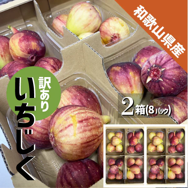 いちじく 訳あり ２箱 (約300g× ８パック) 和歌山県産 傷 めく れ イチジク 無花果 紀の川市