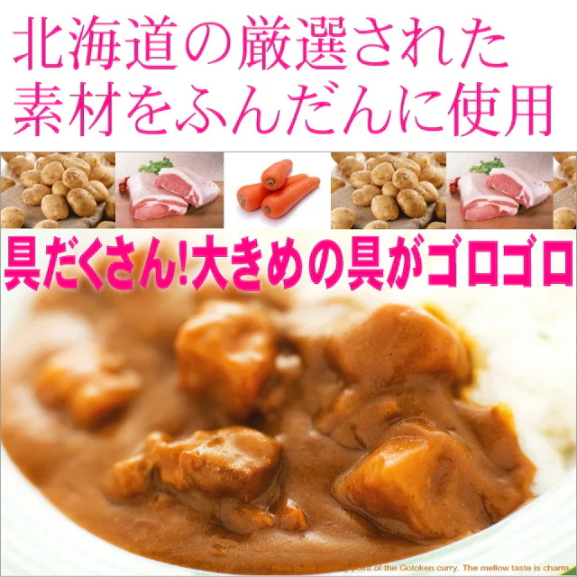 【北海道限定】五島軒 函館カレー 中辛ポークカレー【1人前×2箱】函館 有名店 新千歳空港 お土産