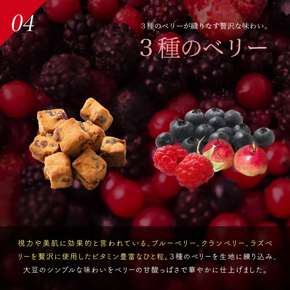 小麦粉不使用 ソイキューブ(4種ミックス) 【4袋】(100g×4袋) SOYCUBE 大豆菓子 おから グルテンフリー 小低GI 低糖質 糖質制限 小腹サポート 食物繊維